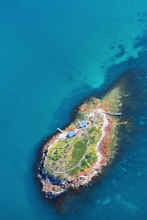Picnic Island Hotel Coles Bay Exterior photo